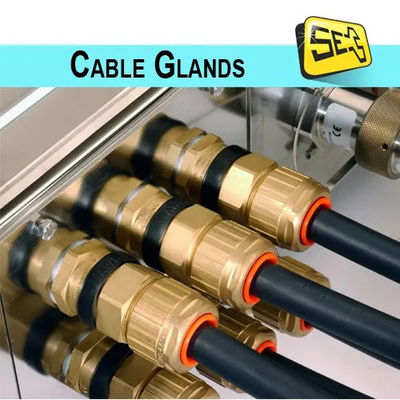 M14X1.5 (((4-8) Connecteur de glandes en laiton nickelé pour câble IP68 glande de câble imperméable